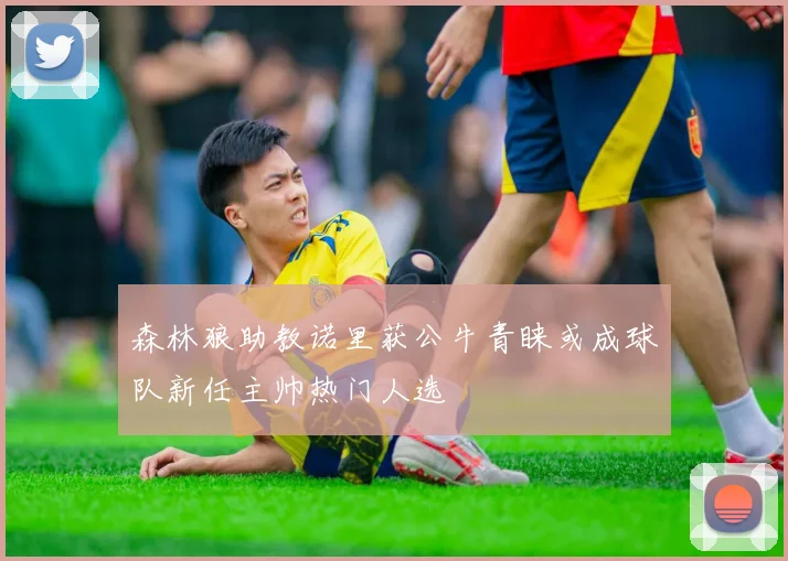 森林狼助教诺里获公牛青睐或成球队新任主帅热门人选