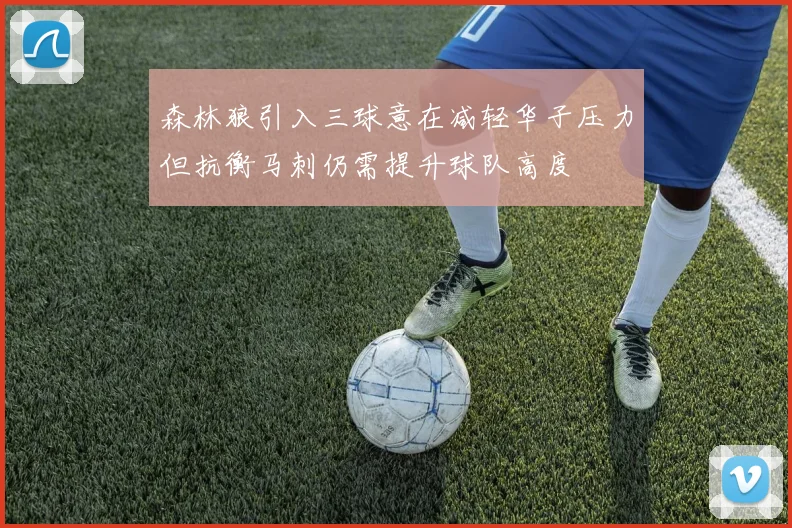 森林狼引入三球意在减轻华子压力但抗衡马刺仍需提升球队高度